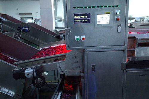 全面革新，智造美味 探秘嘉華食品花工廠技術(shù)升級(jí)之道